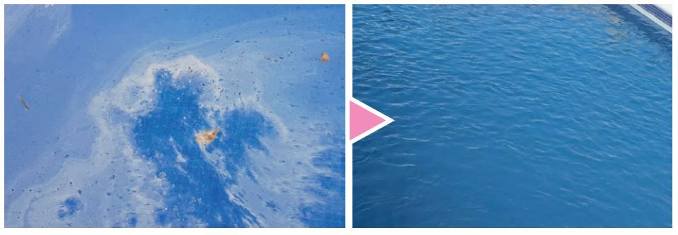 PM-620 GREASE KILLER – Destruidor de gordura e protetor solar 0.5L