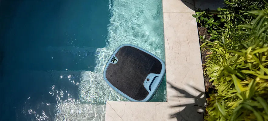 Dolphin Skimmi™ 300